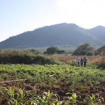 The beauty of nature in Zimbabwe