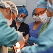 Watching surgery