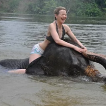Me on an elephant in the river in Phrae