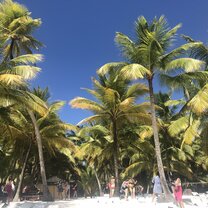 The beautiful Saona island in the Dominican Republic!