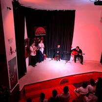 Flamenco performance in Granada, Spain