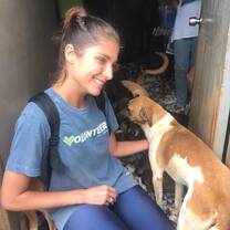 V2 Volunteer and Vacation.  Care for neglected animals.