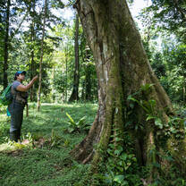 Student conducting research