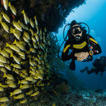 PADI Scuba Qualification