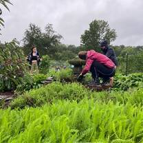 people working in garden on rainy day