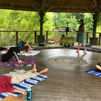 Some lying down some directing movement class in gazebo