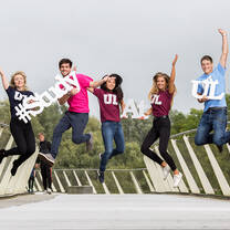 Study at UL 