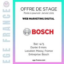 Internship at Bosch - Internship in France - EGE FRANCE