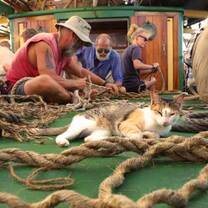 Long splice workshop