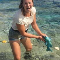 Catching fish on Palmerston