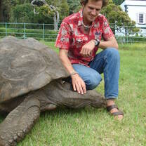St. Helen's Tortoise Jonathan 
