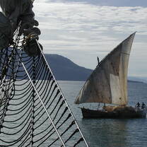 Small boat sailing