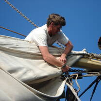 Stowing the foresl
