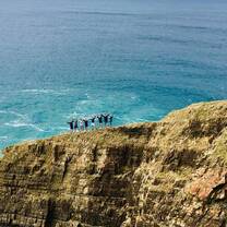 Wild Coast Views