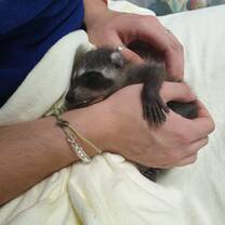 We intake over 2500 animals every year. We are not government funded and rely on donations.