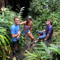 Jungle 