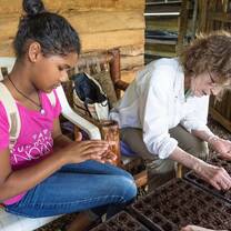 Workers planting seeds