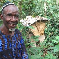 African "impresario" with a beekeeping project