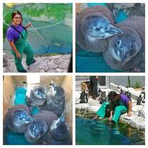 Center for Interim Programs Gap Year Student