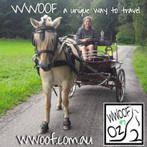 WWOOFing is a unique way to travel!