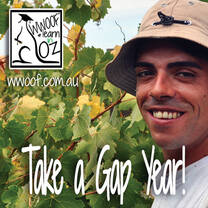 Take a Gap Year in Australia, go WWOOFing & stretch your budget.
