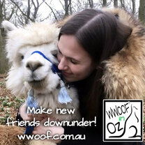 Make new friends in Australia! Make new friends in Australia!