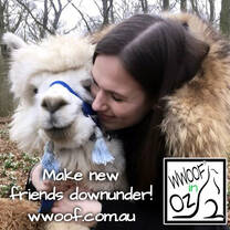 Make new friends in Australia!