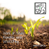 Work or Study remotely while WWOOFing!
