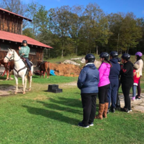 Guide trail rides! 