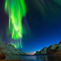The Northern Lights 