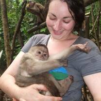 Take care and improve the living situation of wild animals in the rainforest.