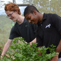 Greenhouse in Costa Rica Greenhouse in Costa Rica