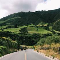 Road through the mountains in Ecuador