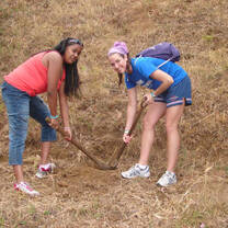 Community volunteer