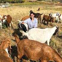 Fall Gap participant visits a ranch with goats. 