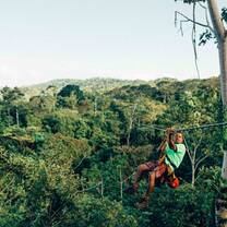 zipline