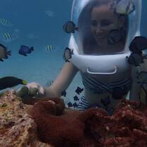 Teach, travel and earn