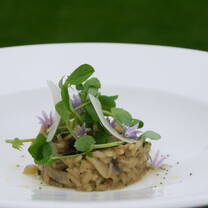 Wild Mushroom Risotto with Rocket & Parmesan