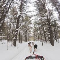 Dog sledding with Ski le Gap