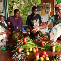 Butterfly Space: Over A Dozen Diverse Volunteer Opportunities in Nkhata Bay, Malawi