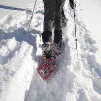 Snowshoeing 