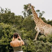 Wildlife conservation volunteer project