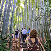 KCP students visit the bamboo forest at Kamakura