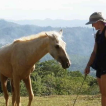 hirse ranch