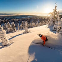 sunrise first tracks skier