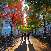 IFSA SOAS, University of London