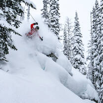 Offpiste Powder training
