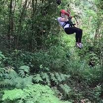 Forest ziplining