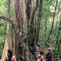 hiking in old forest