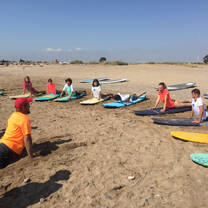 Surf